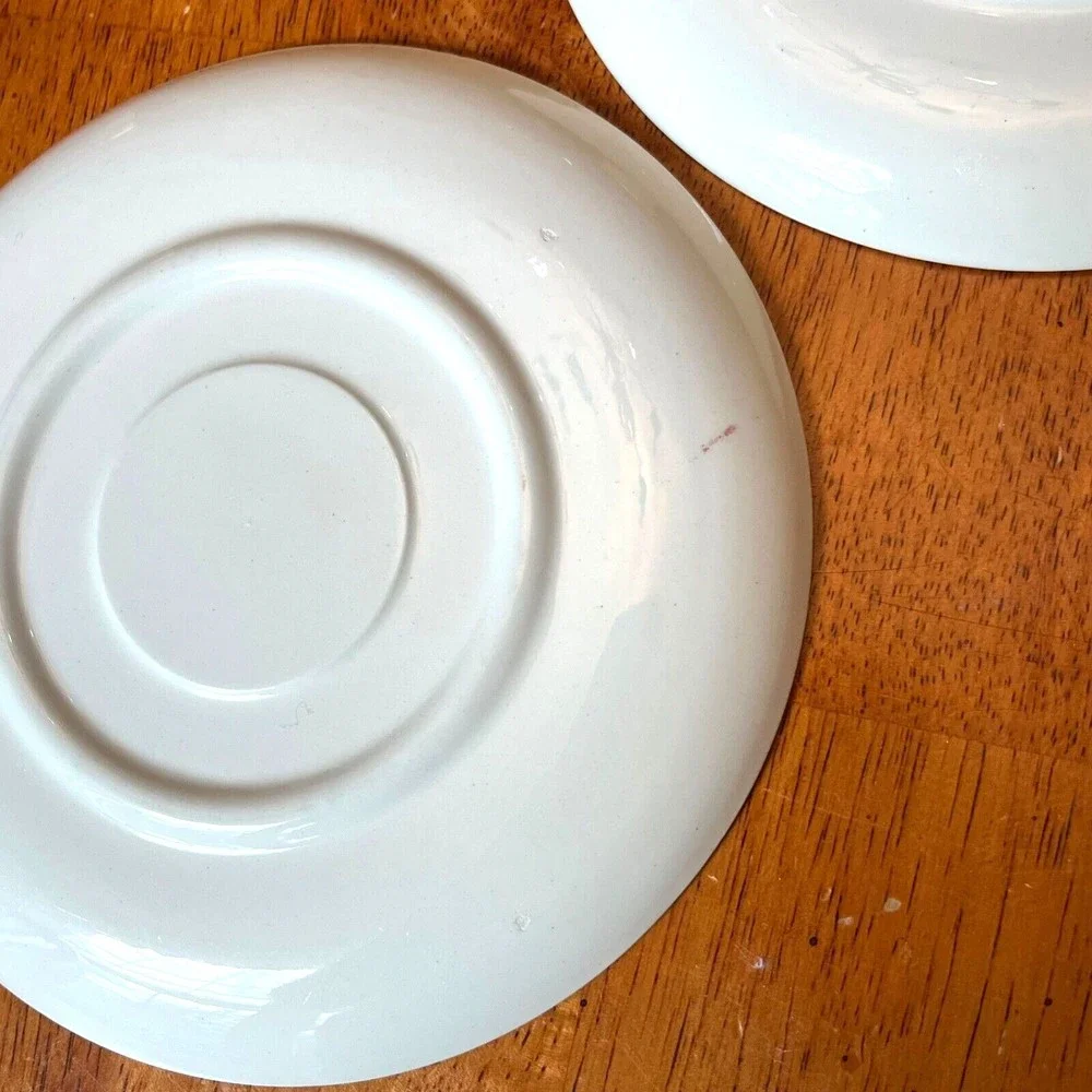 VTG BLUE RIDGE Southern Potteries ARLINGTON APPLE Plates Saucers USA 6”